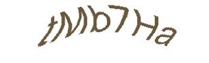 عبارت امنیتی