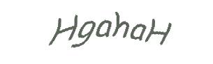 عبارت امنیتی