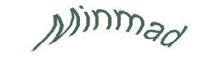 عبارت امنیتی