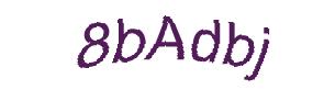 عبارت امنیتی