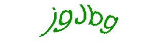 عبارت امنیتی