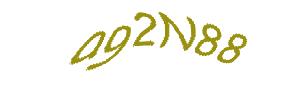عبارت امنیتی