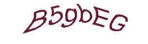 عبارت امنیتی