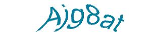 عبارت امنیتی