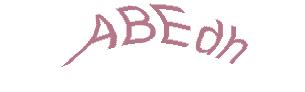 عبارت امنیتی