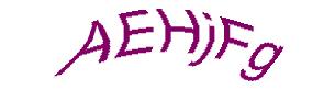 عبارت امنیتی