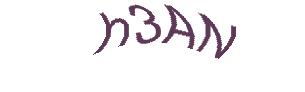 عبارت امنیتی