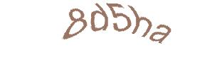 عبارت امنیتی