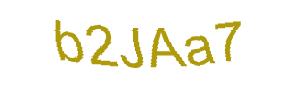 عبارت امنیتی