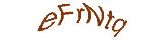 عبارت امنیتی