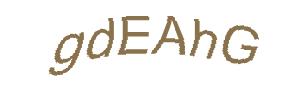عبارت امنیتی