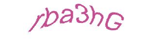 عبارت امنیتی