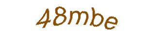 عبارت امنیتی