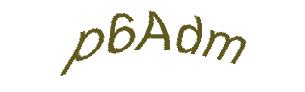 عبارت امنیتی