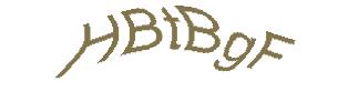 عبارت امنیتی