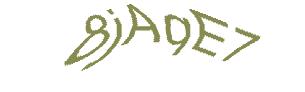 عبارت امنیتی