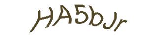 عبارت امنیتی
