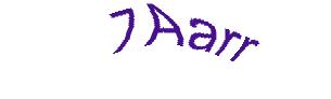 عبارت امنیتی