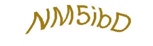 عبارت امنیتی