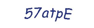 عبارت امنیتی