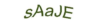 عبارت امنیتی