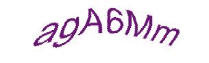 عبارت امنیتی