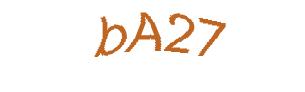 عبارت امنیتی