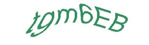 عبارت امنیتی