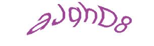 عبارت امنیتی