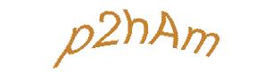 عبارت امنیتی