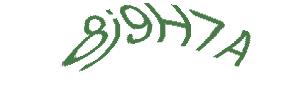 عبارت امنیتی