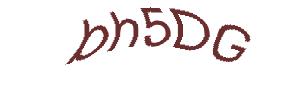 عبارت امنیتی
