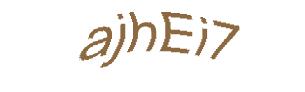 عبارت امنیتی