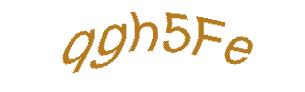 عبارت امنیتی