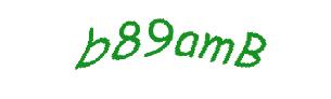 عبارت امنیتی