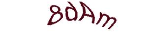 عبارت امنیتی