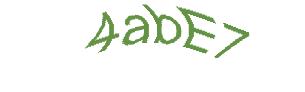 عبارت امنیتی
