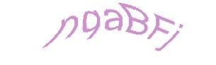 عبارت امنیتی