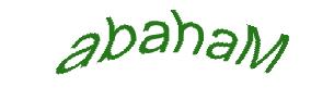 عبارت امنیتی