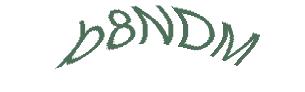 عبارت امنیتی