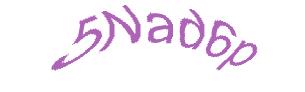 عبارت امنیتی