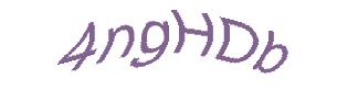 عبارت امنیتی