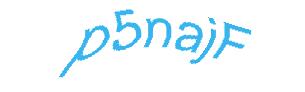عبارت امنیتی