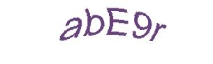 عبارت امنیتی