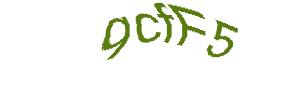 عبارت امنیتی
