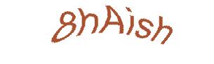 عبارت امنیتی