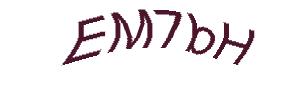 عبارت امنیتی