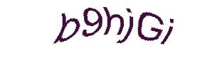 عبارت امنیتی