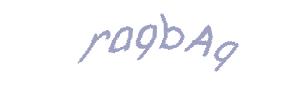 عبارت امنیتی