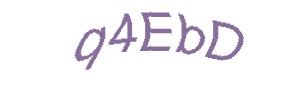 عبارت امنیتی